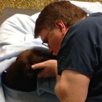 Countryside Animal Hospital ico