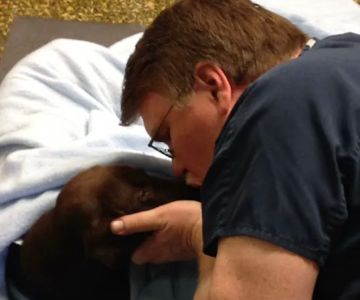 Countryside Animal Hospital