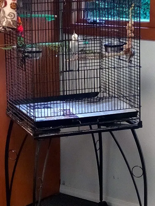 Bird & Exotic Pet Wellness Center 12