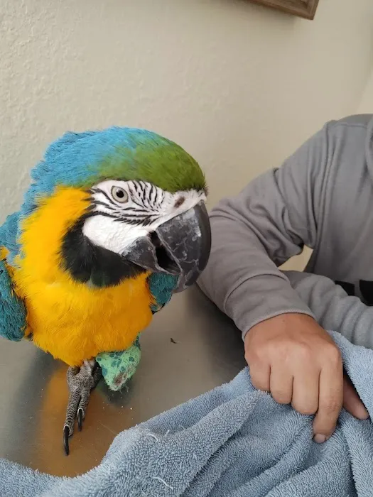 Bird & Exotic Pet Wellness Center 12