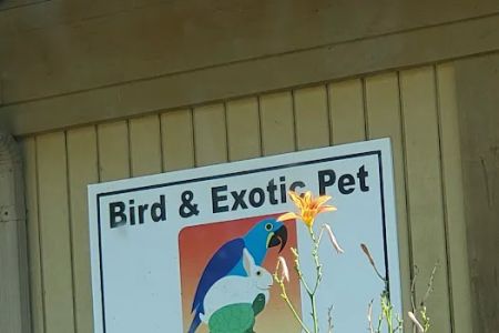 Bird & Exotic Pet Wellness Center