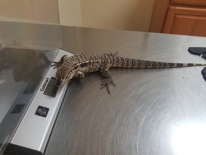 Bird & Exotic Pet Wellness Center 12