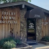 Trilby Animal Hospital ico