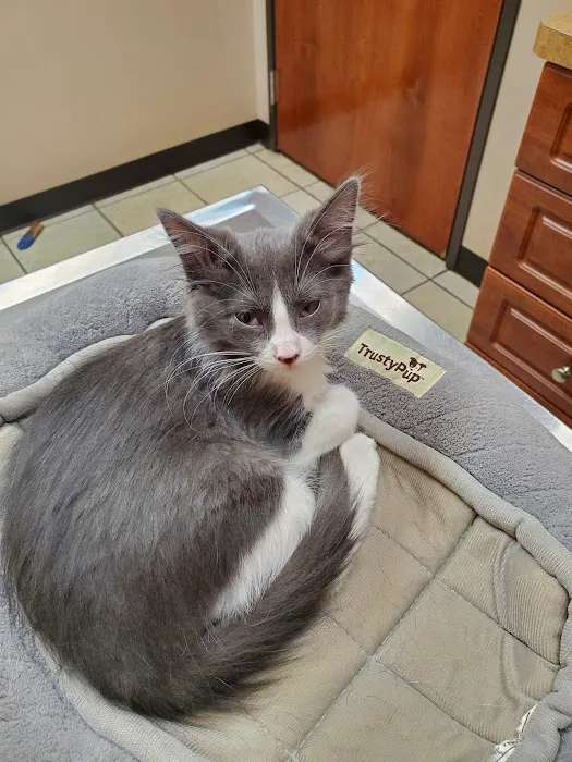 Alexis Road Animal Hospital 6