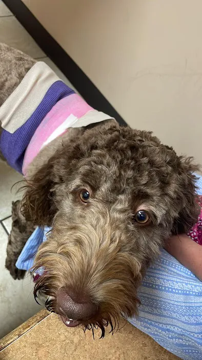 Alexis Road Animal Hospital 10