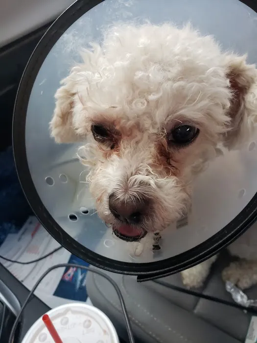 Community Pet Care Clinic 9
