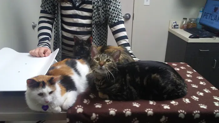 Community Pet Care Clinic 2