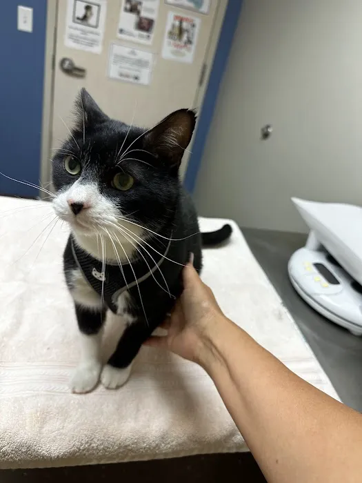 Community Pet Care Clinic 8