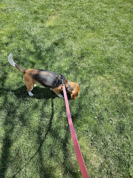 Community Pet Care Clinic 10