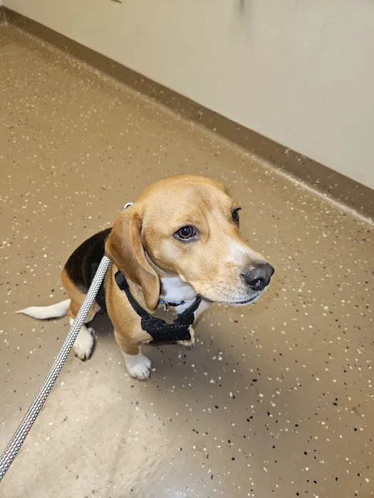 Community Pet Care Clinic 6