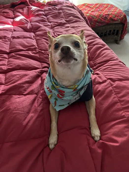 Banfield Pet Hospital 12