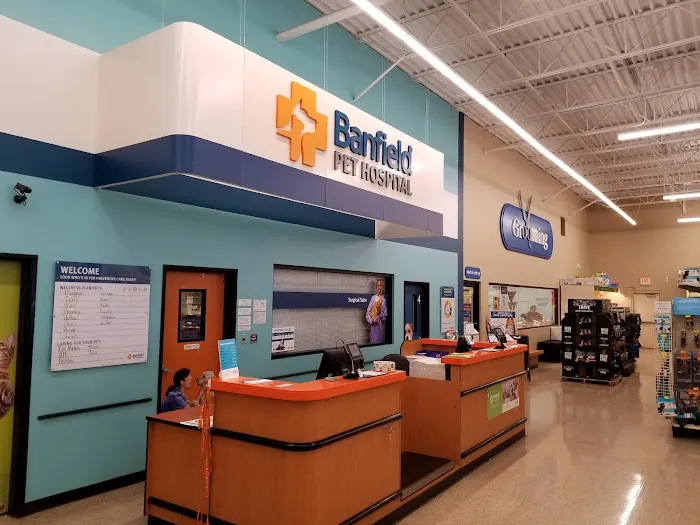 Banfield Pet Hospital 12