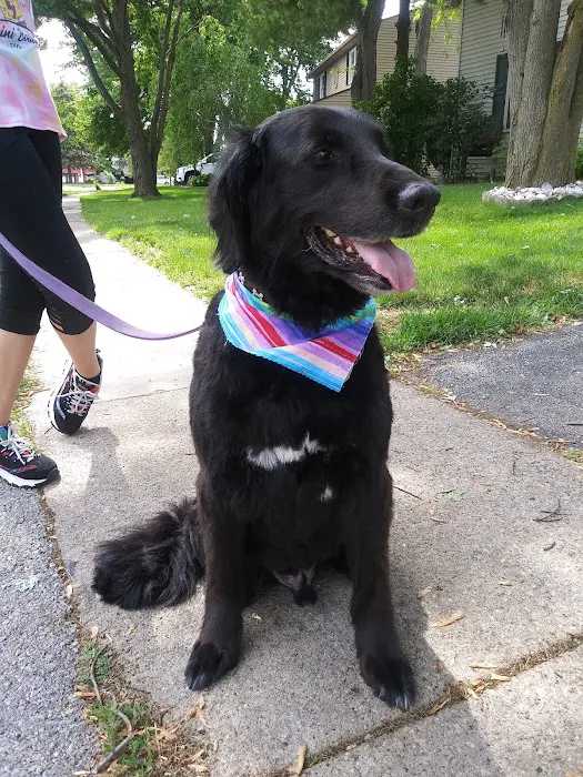 Perrysburg Animal Hospital 4