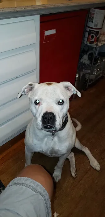 Perrysburg Animal Hospital 7