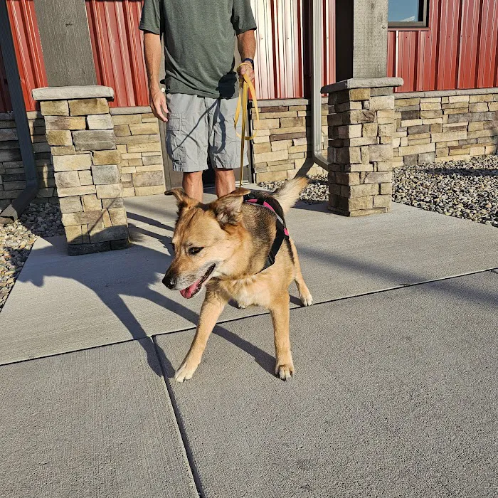 Perrysburg Animal Hospital 1