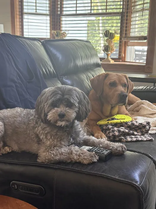 Lane Animal Hospital 1