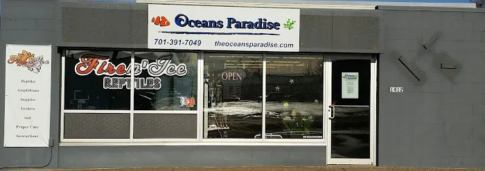 Oceans Paradise 3