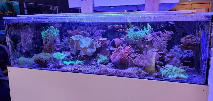 Oceans Paradise 10