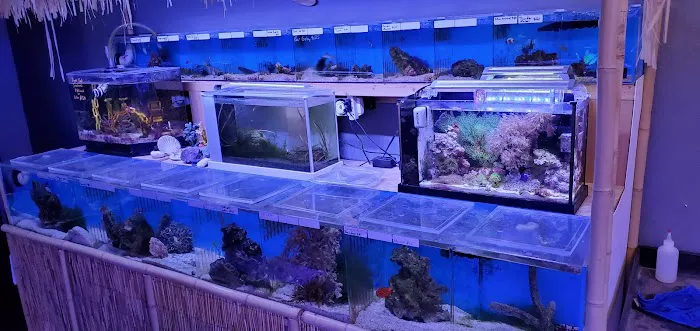 Oceans Paradise 2