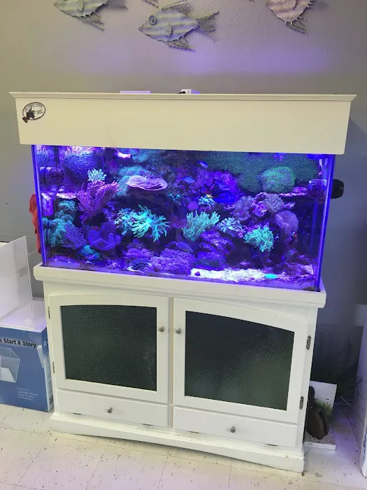Oceans Paradise 9