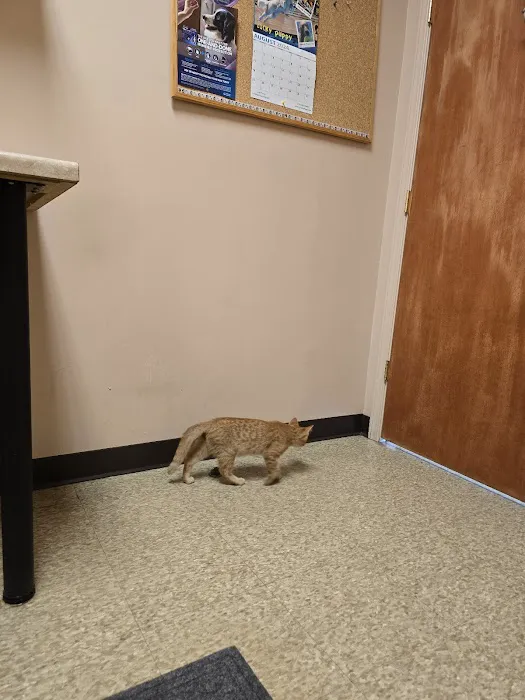 Country Creek Animal Hospital 1