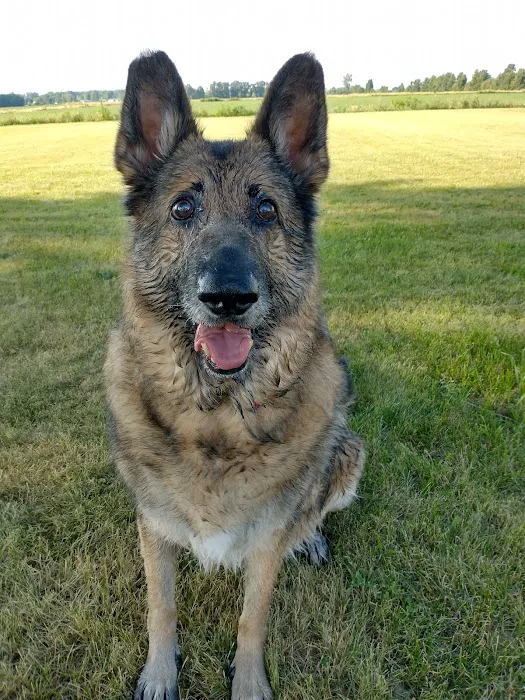 Country Creek Animal Hospital 3