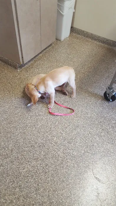River Raisin Veterinary Clinic 6
