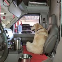 River Raisin Veterinary Clinic ico