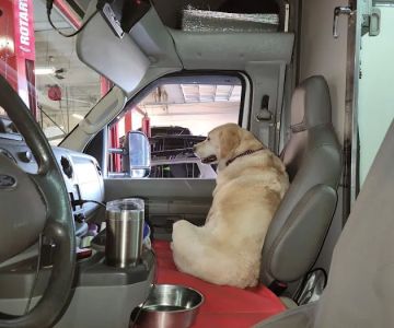 River Raisin Veterinary Clinic