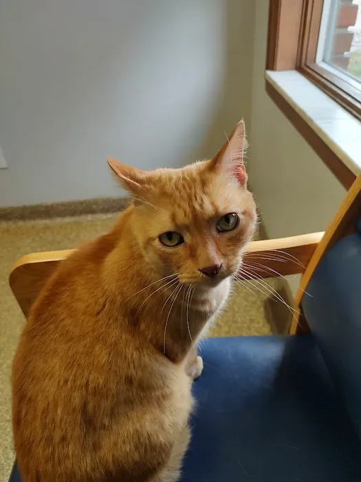 River Raisin Veterinary Clinic 2