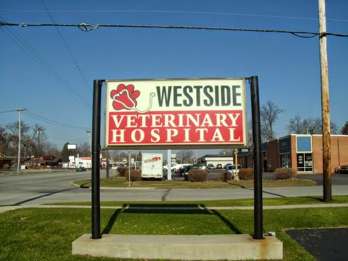 Westside Veterinary Hospital 12