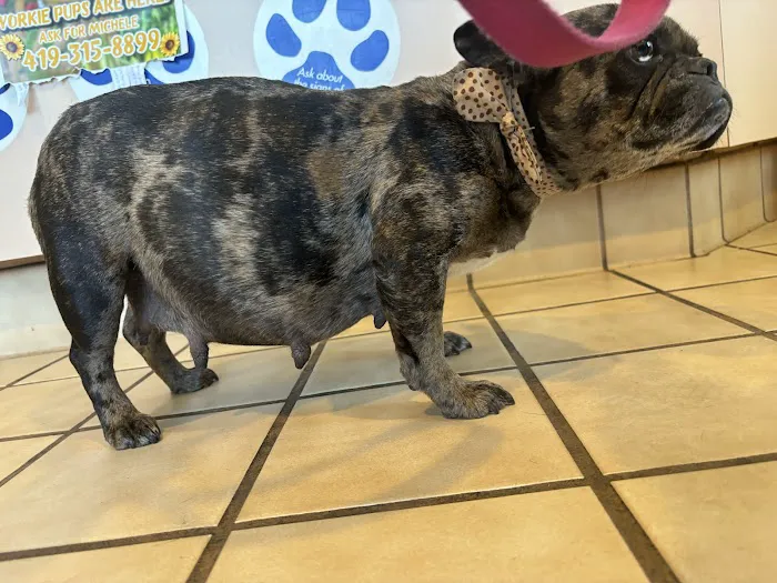 Westside Veterinary Hospital 12