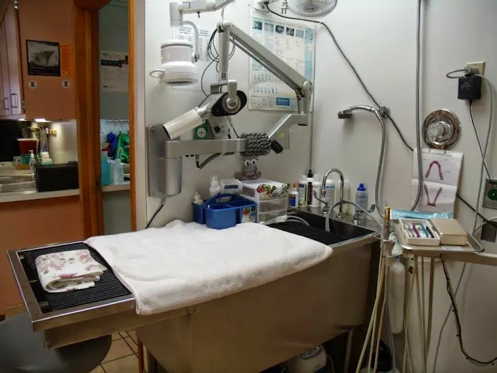 Westside Veterinary Hospital 12