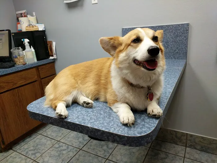 Reynolds Road Animal Hospital 12
