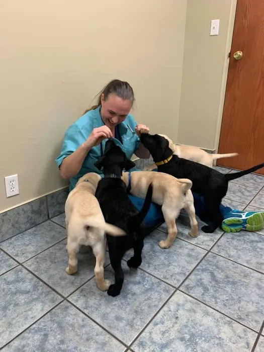 Reynolds Road Animal Hospital 12