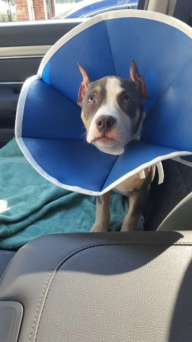 Reynolds Road Animal Hospital 12
