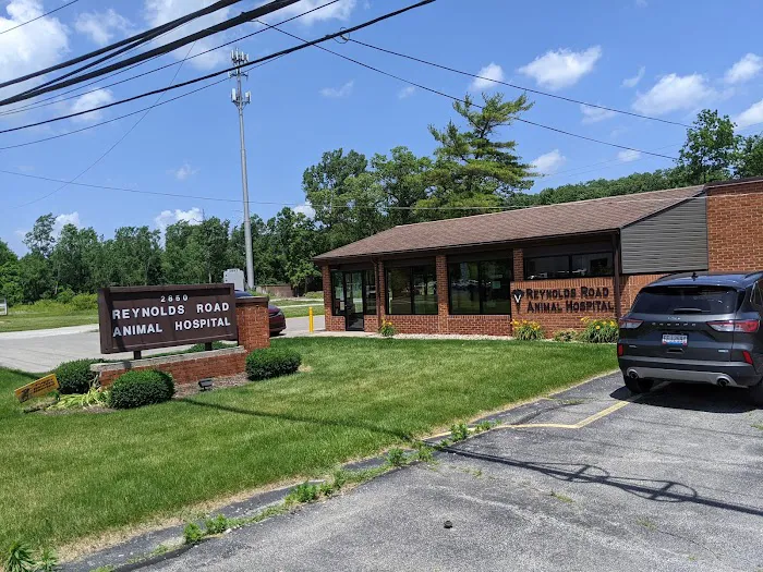 Reynolds Road Animal Hospital 12