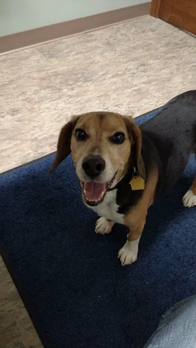 VetSelect Animal Hospital of Commerce Township 4