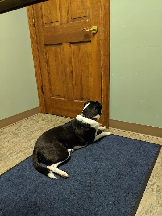 VetSelect Animal Hospital of Commerce Township 6
