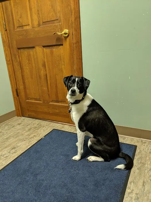 VetSelect Animal Hospital of Commerce Township 8