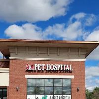 A & A Pet Hospital ico