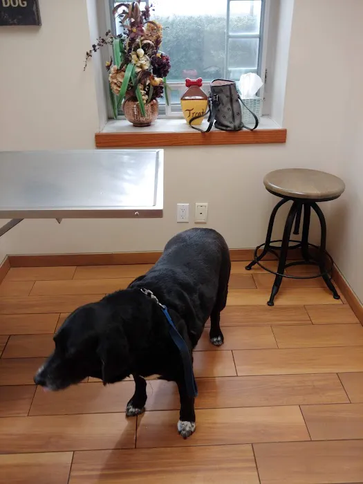 Livingston Veterinary Clinic 9