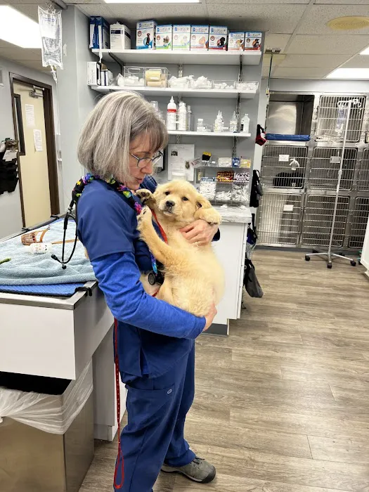 VCA Brighton Animal Hospital 12