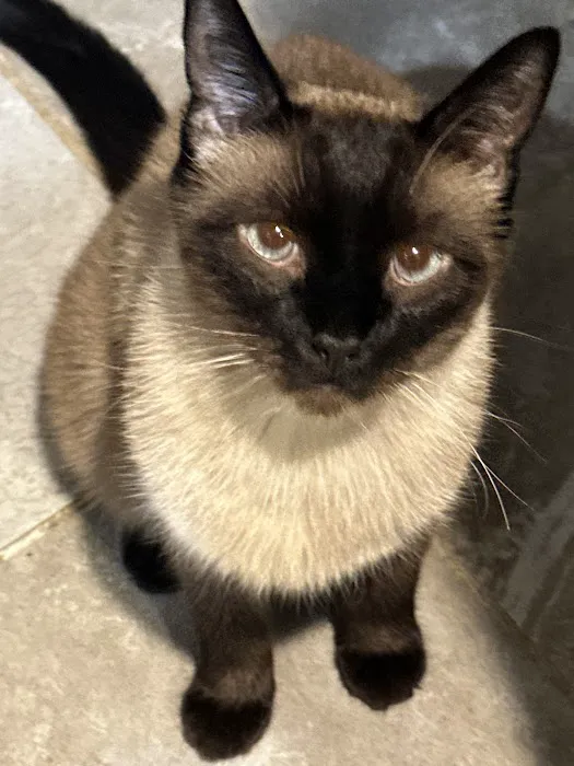 Mitten Animal Hospital 12