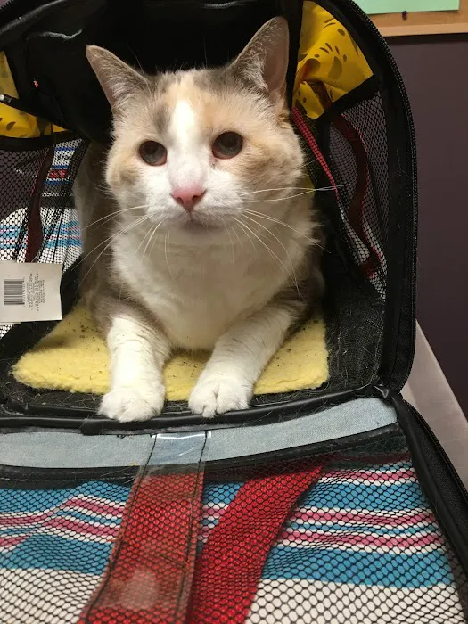 Wixom Family Pet Practice 4