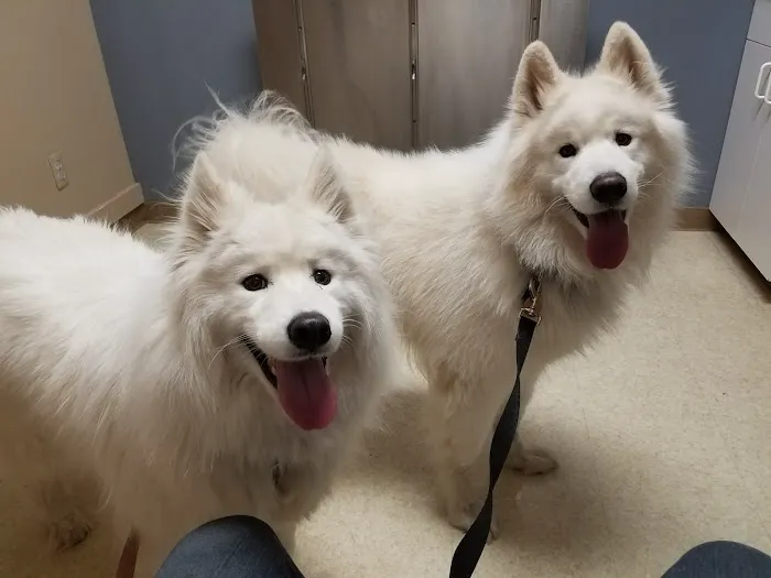 Wixom Family Pet Practice 10
