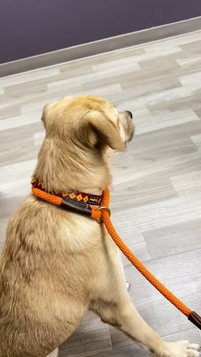 Wixom Family Pet Practice 9