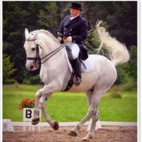 Equine All Sports Medicine ico