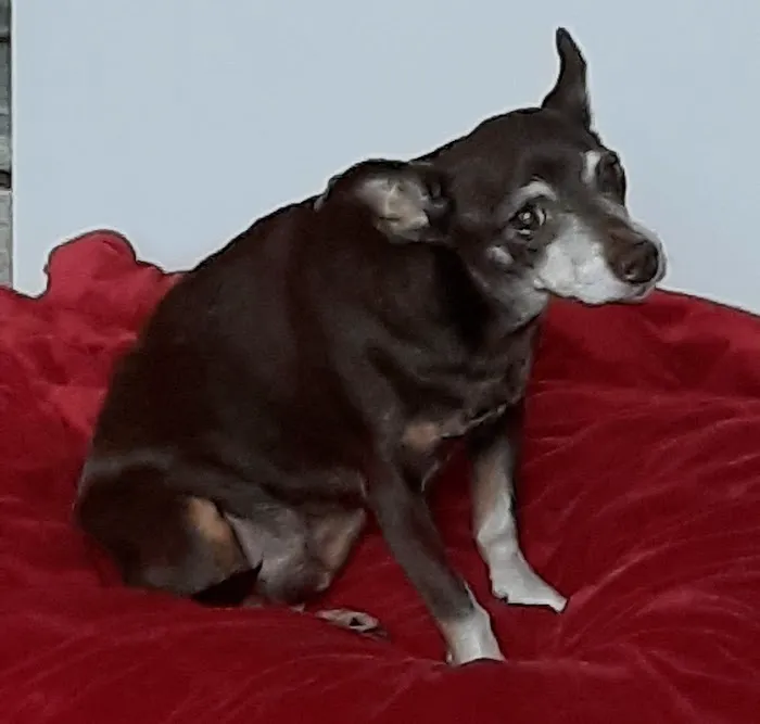 Mason Veterinary Clinic 12