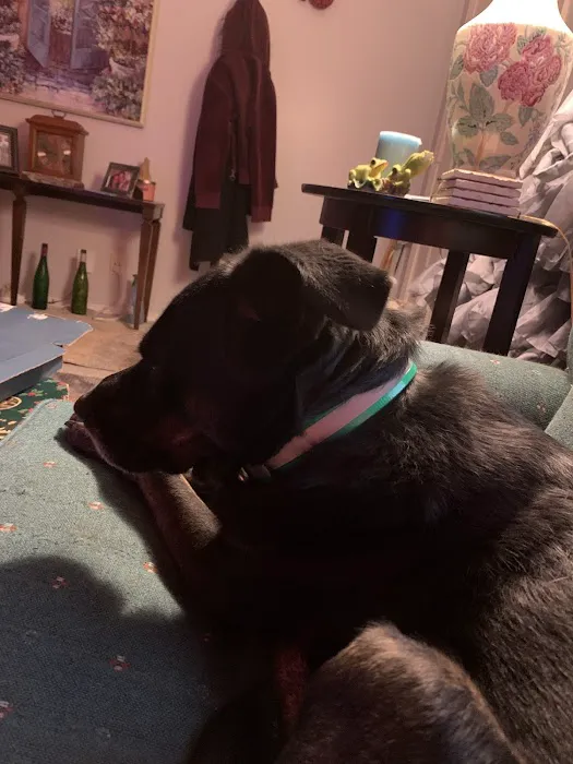 Waterloo Animal Hospital: Mannino Michelle DVM 12